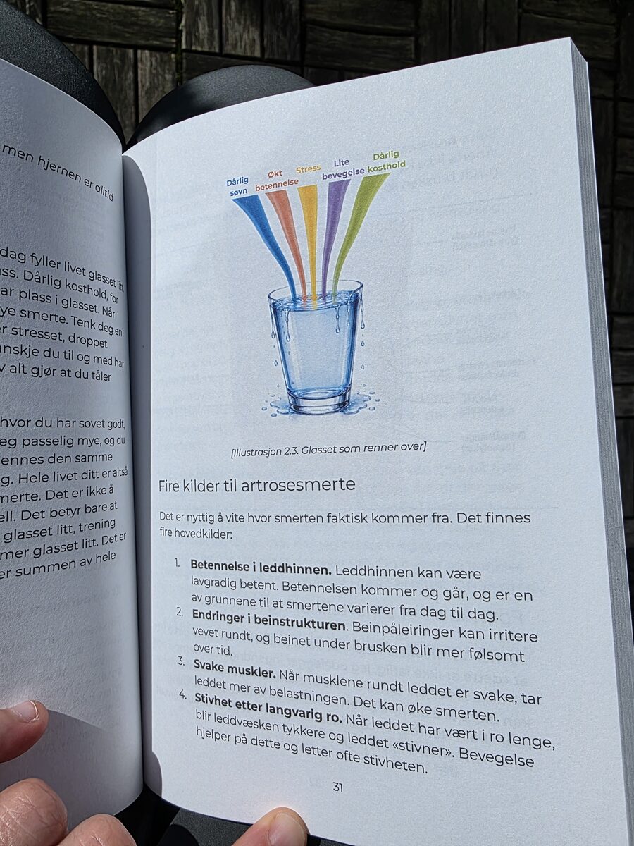 Oppslag fra boken: glasset som renner over, og de fire kildene til artrosesmerte